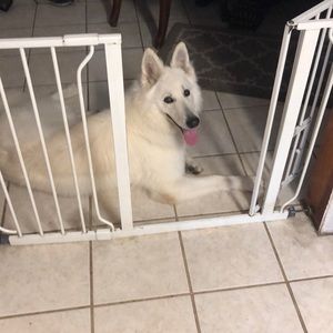 Meet your Posher, Marilyn